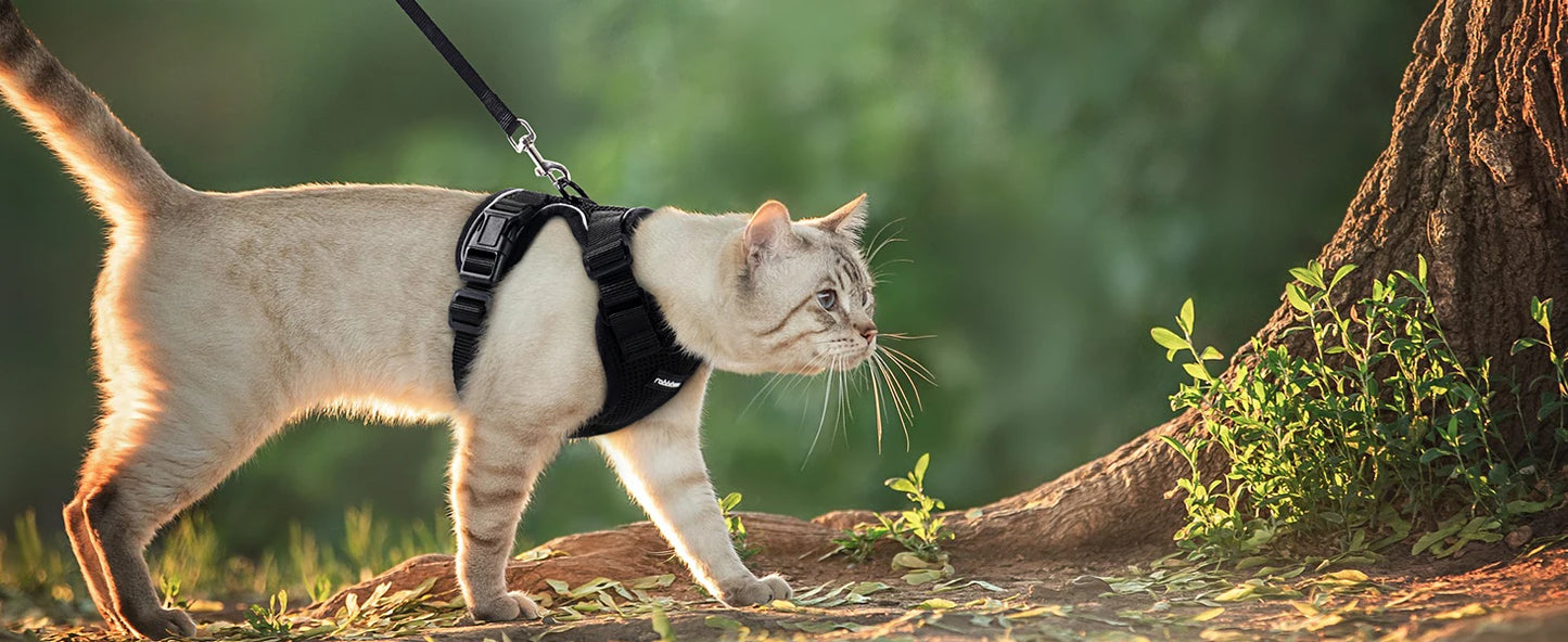Pet Cat Harness and Leash Adjustable