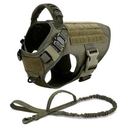 Large Pet Dog Harness And Leash Set