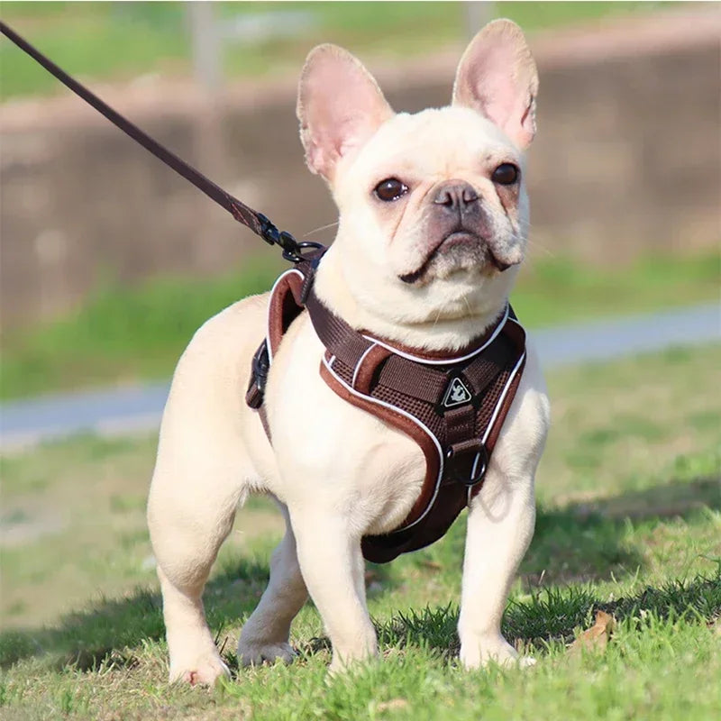 No Pull Pet Dog Harness and Leash Set Adjustable