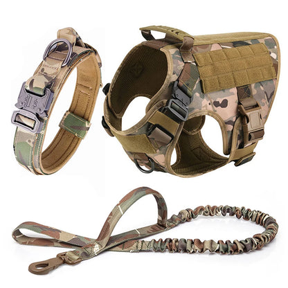 Large Pet Dog Harness And Leash Set