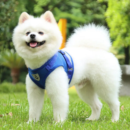 Pet Cat Dog Breathable Mesh Harness Leash Set