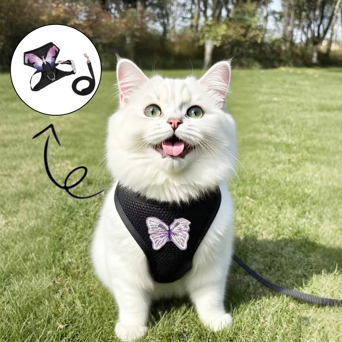 Small Pet Dog Harness and Leash Set