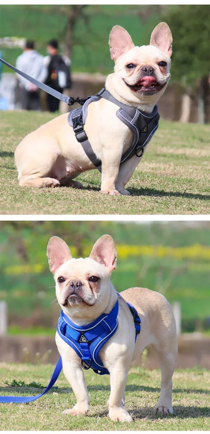 No Pull Pet Dog Harness and Leash Set Adjustable