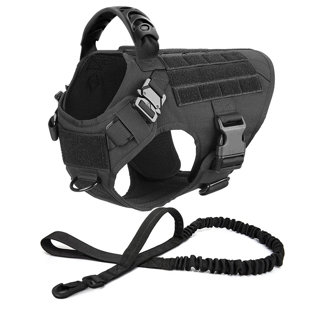 Large Pet Dog Harness And Leash Set