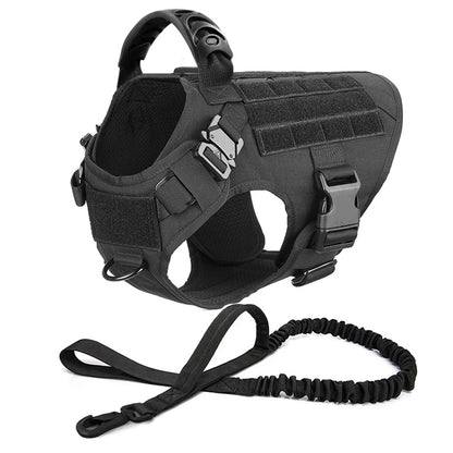 Large Pet Dog Harness And Leash Set