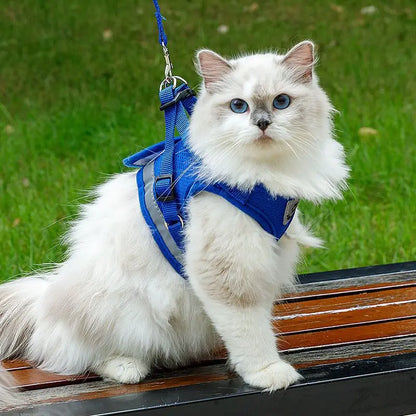 Pet Cat Dog Breathable Mesh Harness Leash Set