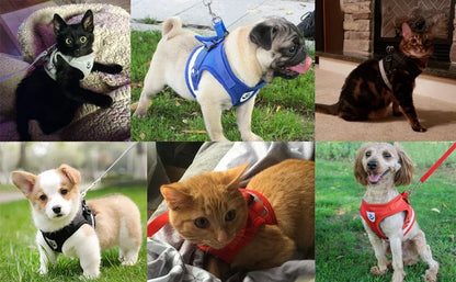 Reflective Pet Cat Dog Breathable Harness Leash Set
