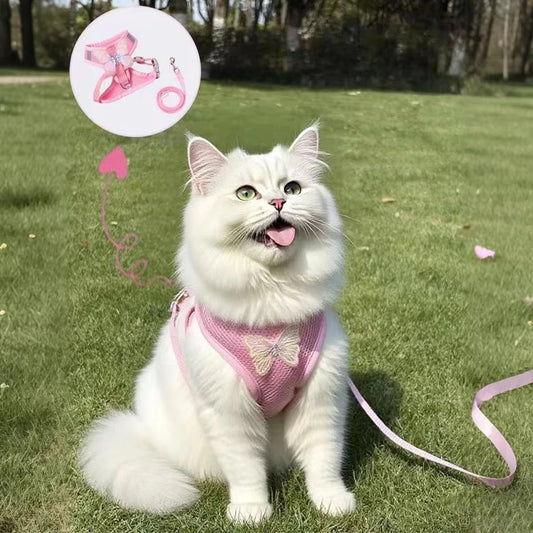 Small Pet Dog Harness and Leash Set