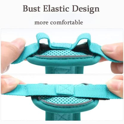 No Pull Pet Dog Harness and Leash Set Adjustable