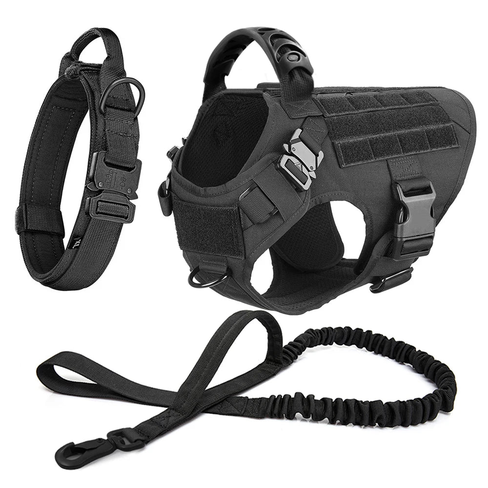 Large Pet Dog Harness And Leash Set