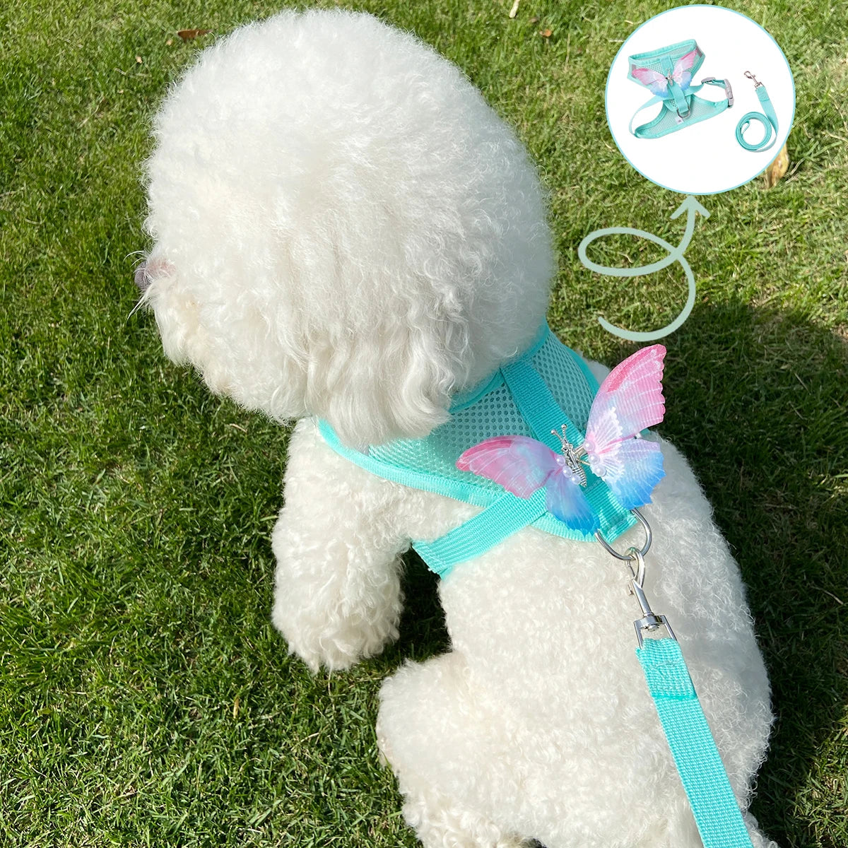 Small Pet Dog Harness and Leash Set