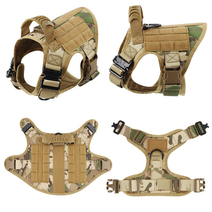 Pet Dog Collar Harness Leash Patches Set