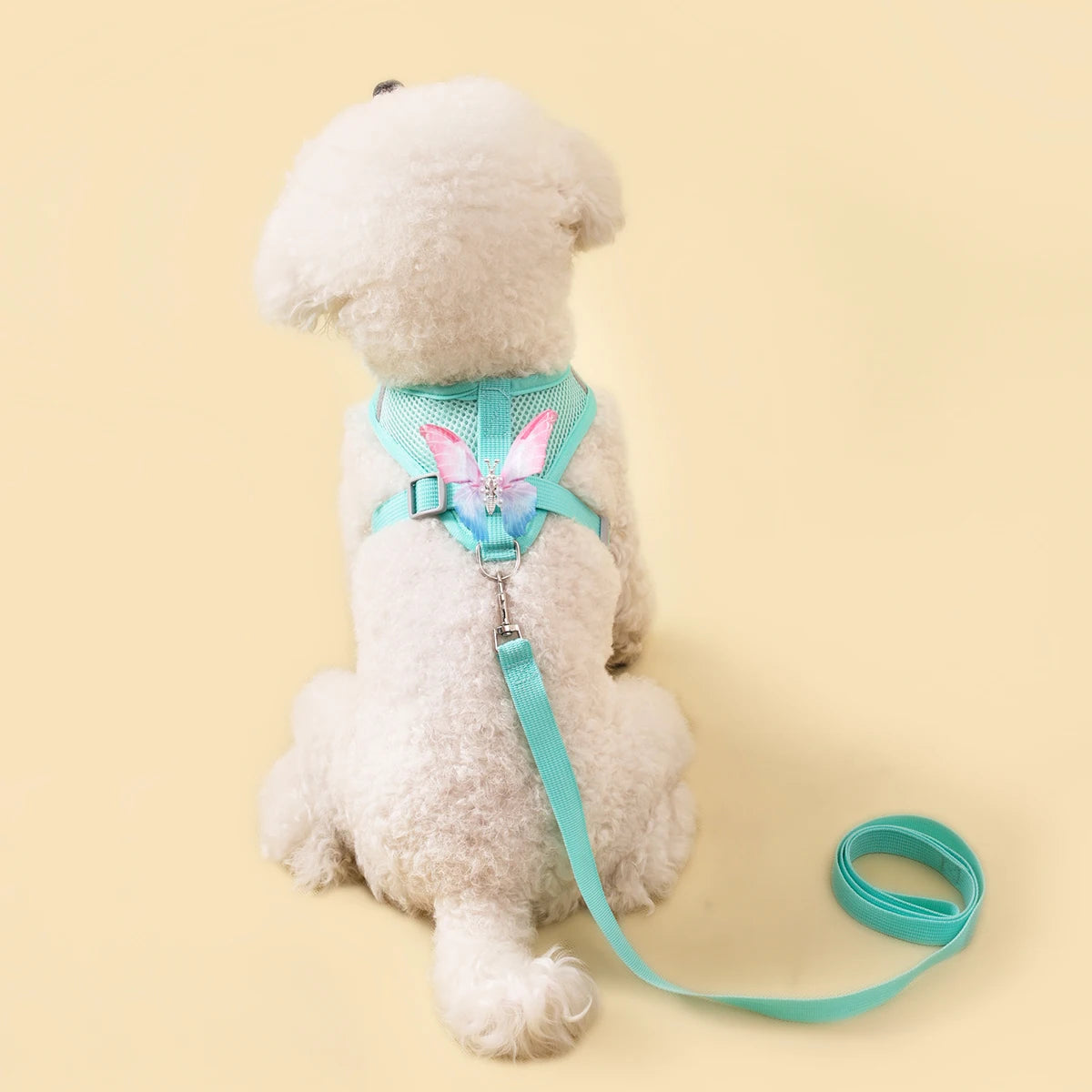 Small Pet Dog Harness and Leash Set
