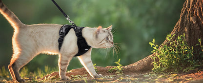 Pet Cat Harness and Leash Adjustable
