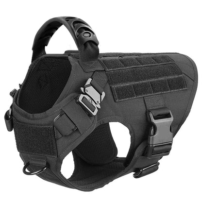 Large Pet Dog Harness And Leash Set