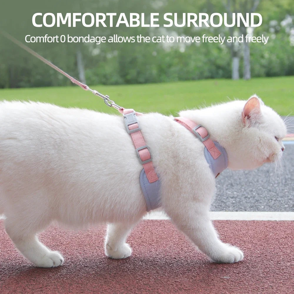 Pet Cat Puppy Outdoor Walking Harness and Leash Set