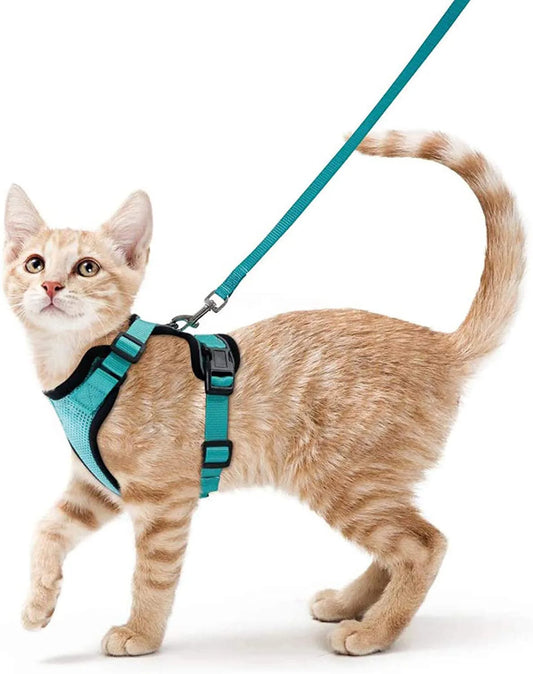 Pet Cat Harness and Leash Adjustable