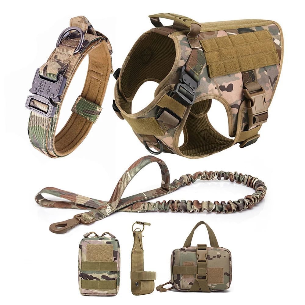 Large Pet Dog Harness And Leash Set