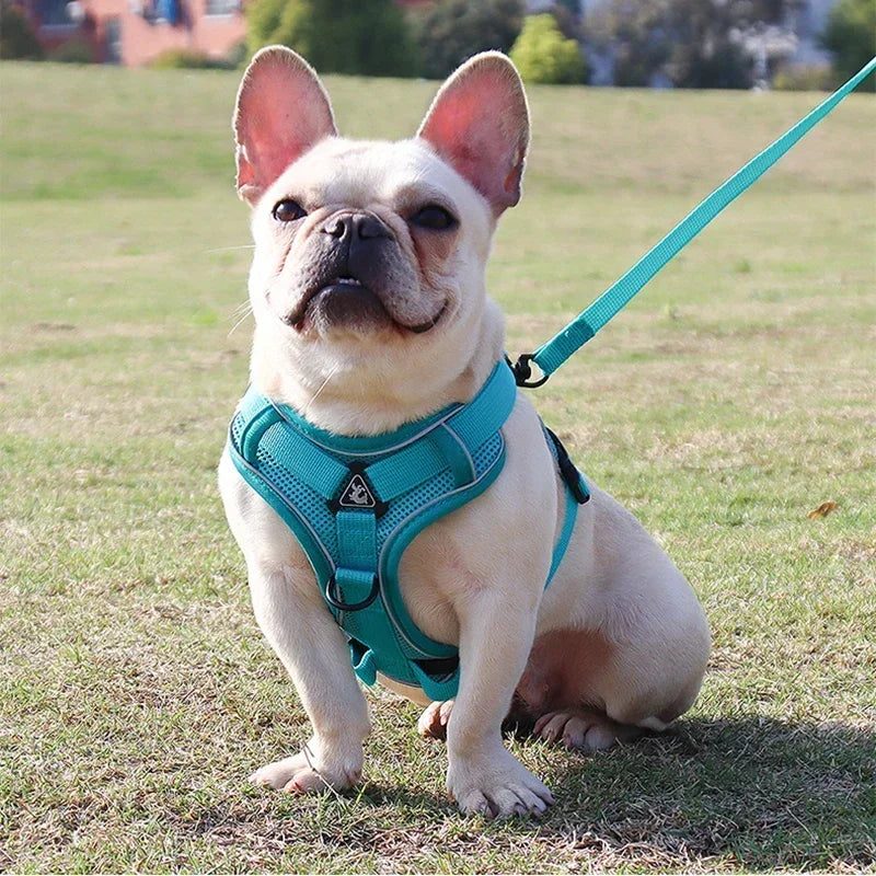 No Pull Pet Dog Harness and Leash Set Adjustable