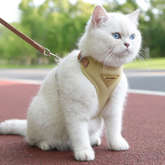 Pet Cat Puppy Outdoor Walking Harness and Leash Set
