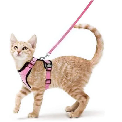 Pet Cat Harness and Leash Adjustable