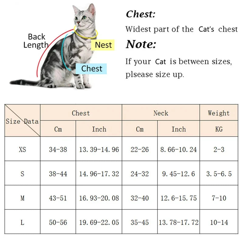 Pet Cat Puppy Outdoor Walking Harness and Leash Set