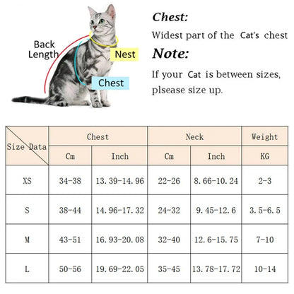 Pet Cat Puppy Outdoor Walking Harness and Leash Set