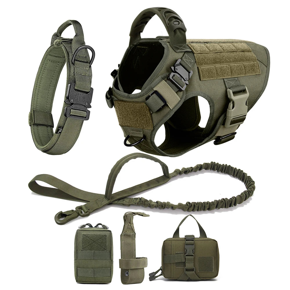 Large Pet Dog Harness And Leash Set