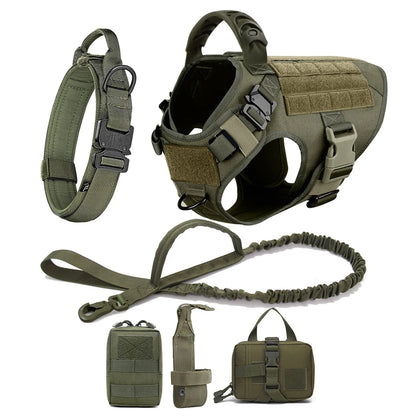 Large Pet Dog Harness And Leash Set