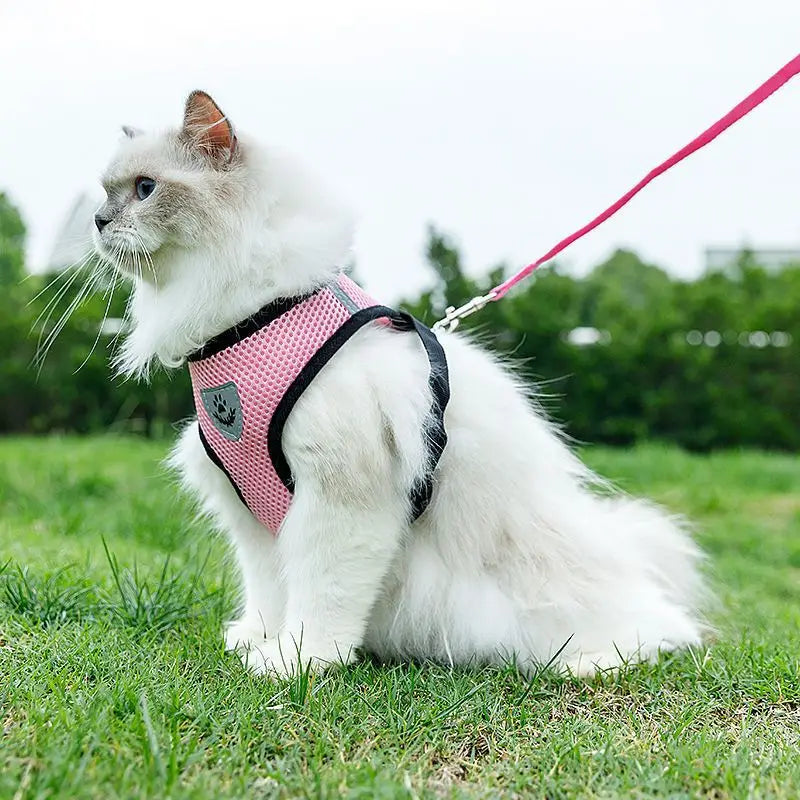Pet Cat Dog Breathable Mesh Harness Leash Set