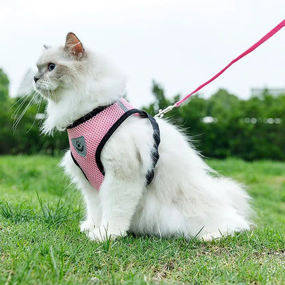 Pet Cat Dog Breathable Mesh Harness Leash Set