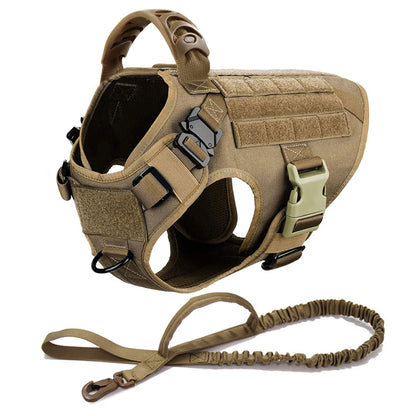 Large Pet Dog Harness And Leash Set