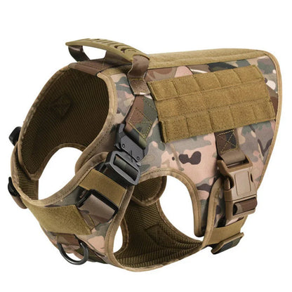 Large Pet Dog Harness And Leash Set
