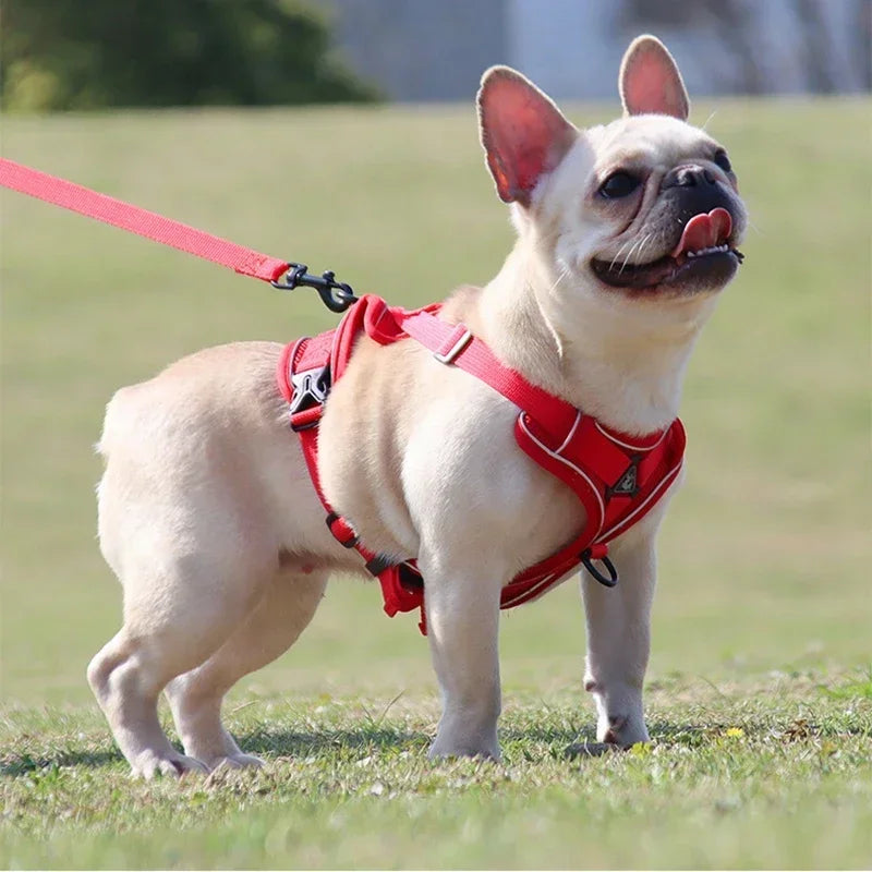 No Pull Pet Dog Harness and Leash Set Adjustable