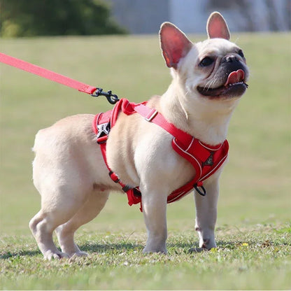 No Pull Pet Dog Harness and Leash Set Adjustable