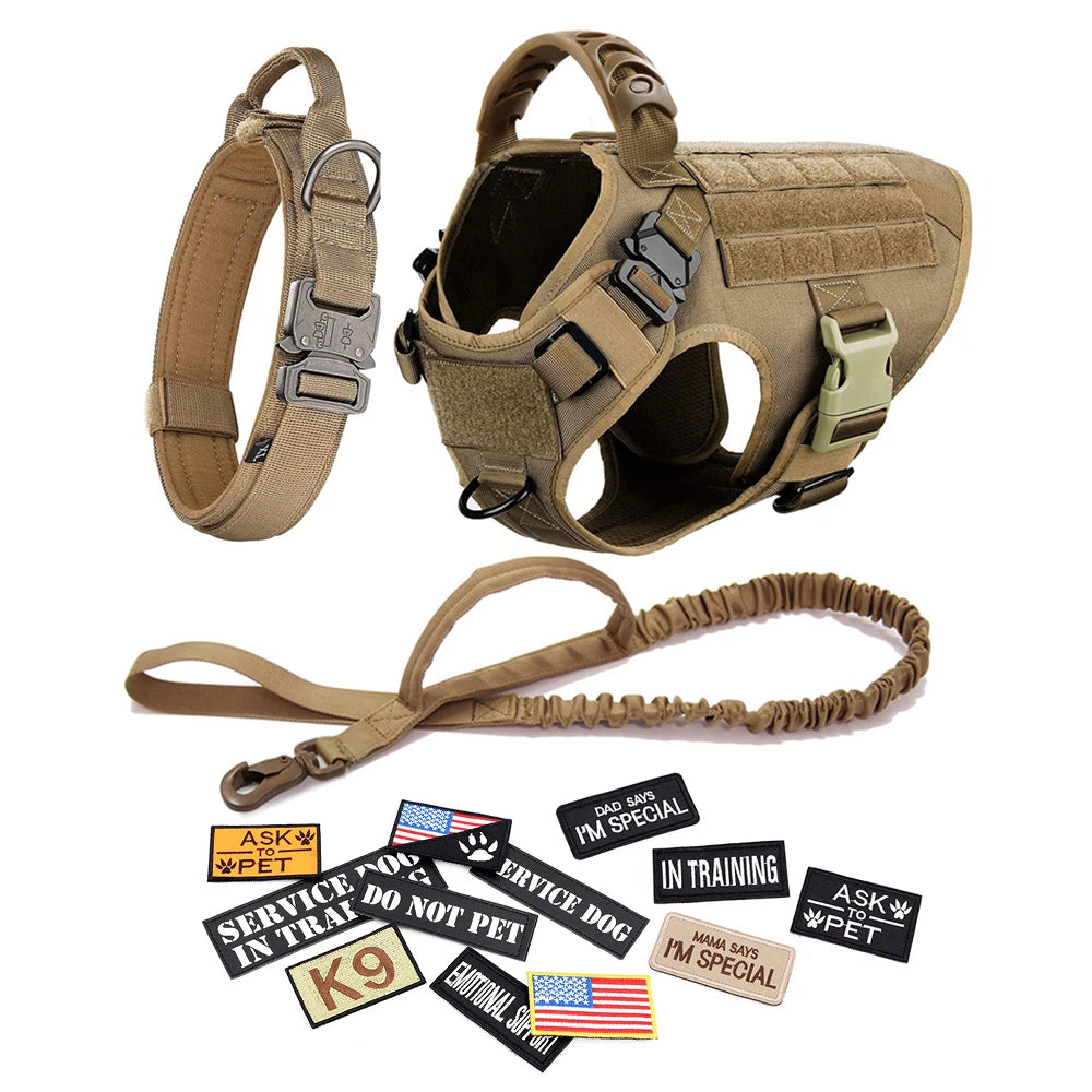 Pet Dog Collar Harness Leash Patches Set