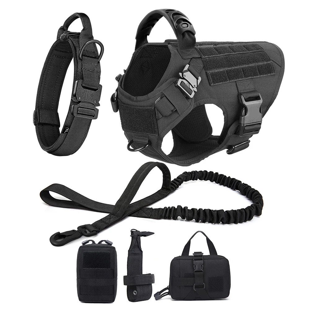 Large Pet Dog Harness And Leash Set