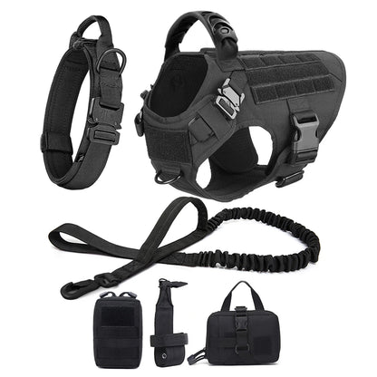 Large Pet Dog Harness And Leash Set