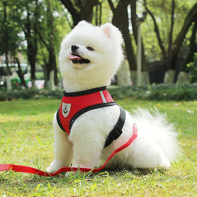 Pet Cat Dog Breathable Mesh Harness Leash Set