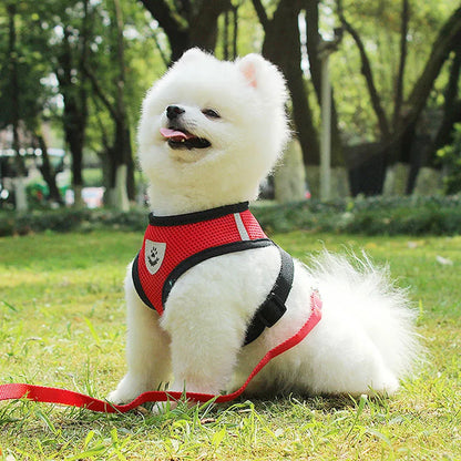 Pet Cat Dog Breathable Mesh Harness Leash Set