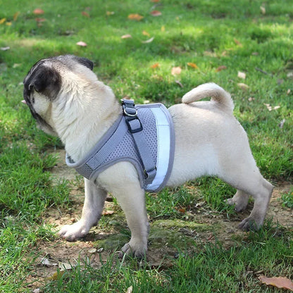 Reflective Pet Cat Dog Breathable Harness Leash Set