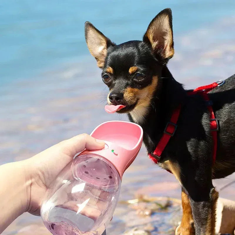350ml/550ml Portable Dog Water Bottle