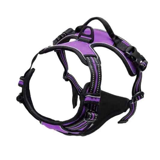 Pet Dog Collars Harness Big Vests Leash