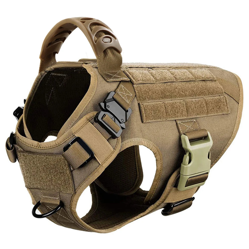 Large Pet Dog Harness And Leash Set