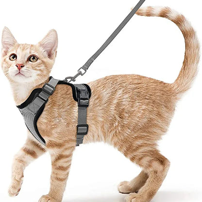 Pet Cat Harness and Leash Adjustable