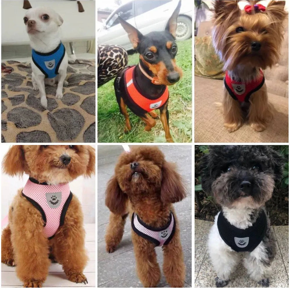 Pet Cat Dog Breathable Mesh Harness Leash Set