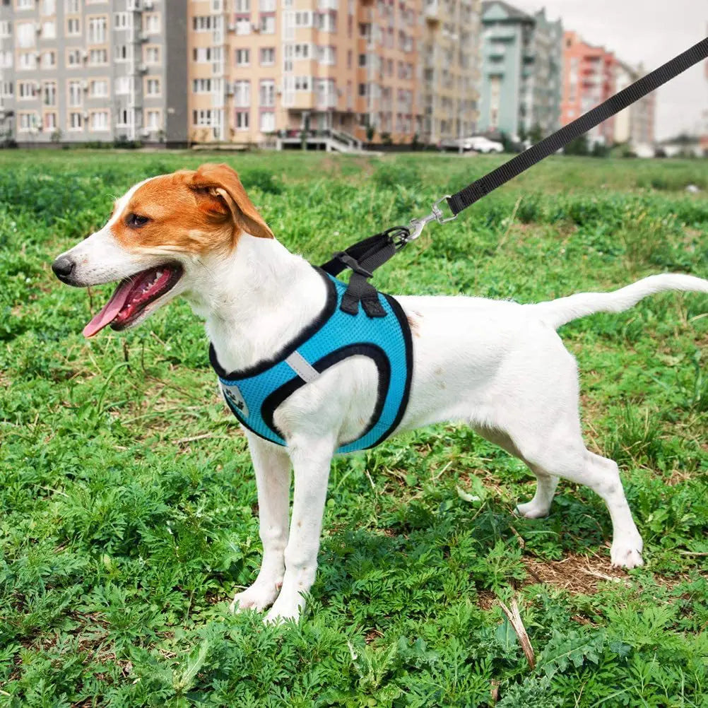 Pet Cat Dog Breathable Mesh Harness Leash Set
