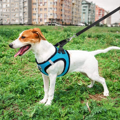 Pet Cat Dog Breathable Mesh Harness Leash Set
