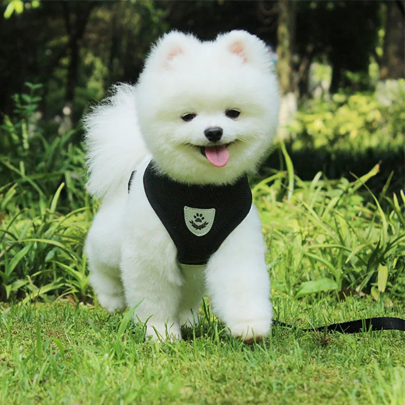 Pet Cat Dog Breathable Mesh Harness Leash Set