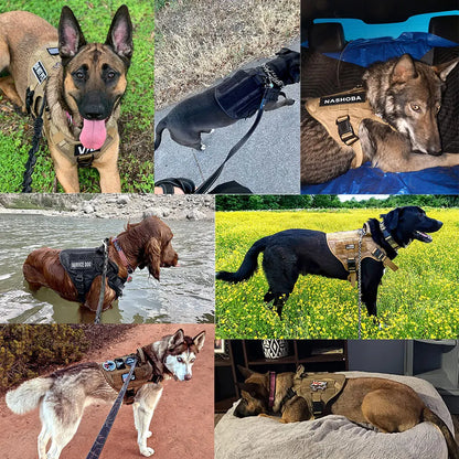 Large Pet Dog Harness And Leash Set